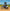 Dirt Bikes