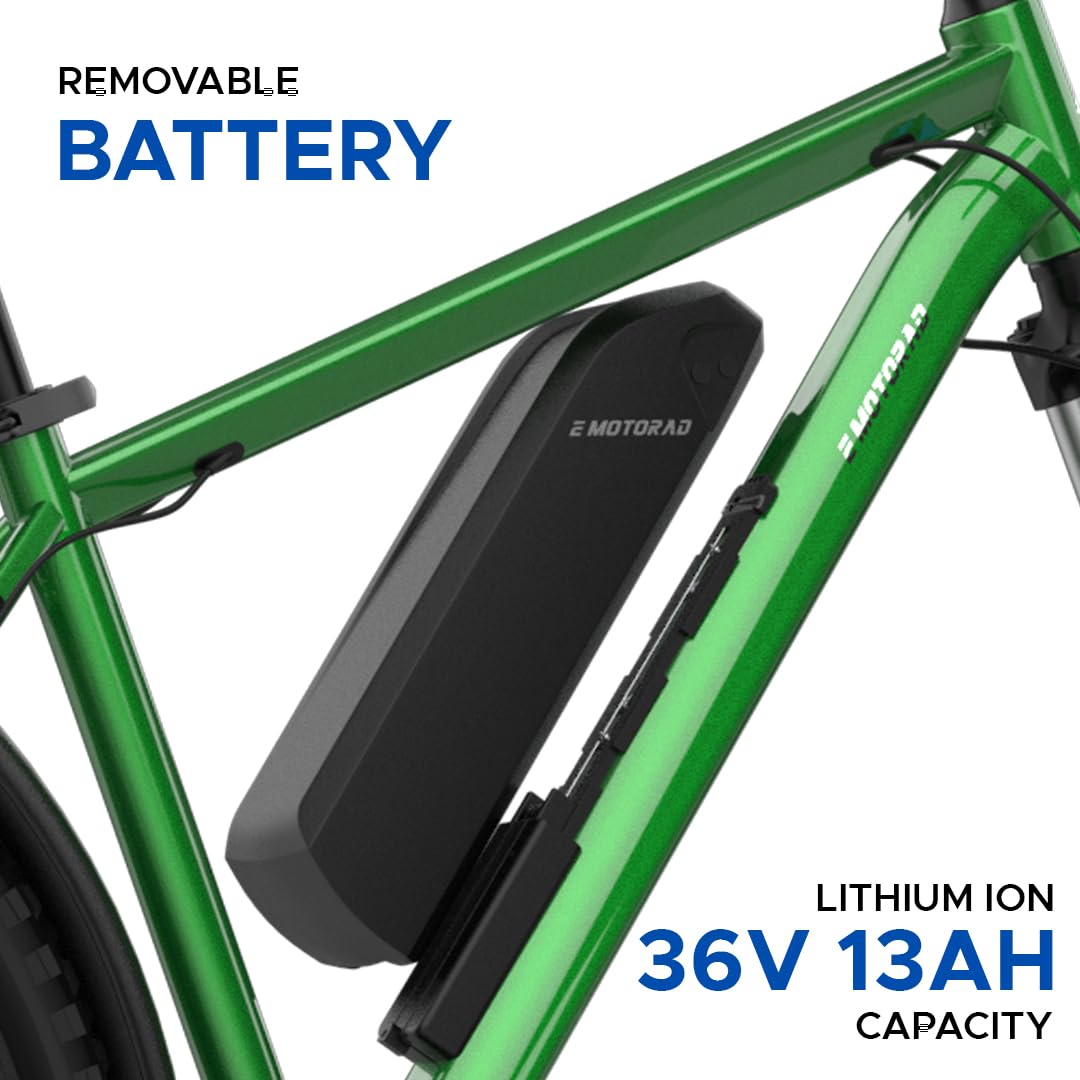 emotorad-trex-pro-removable-battery-13ah