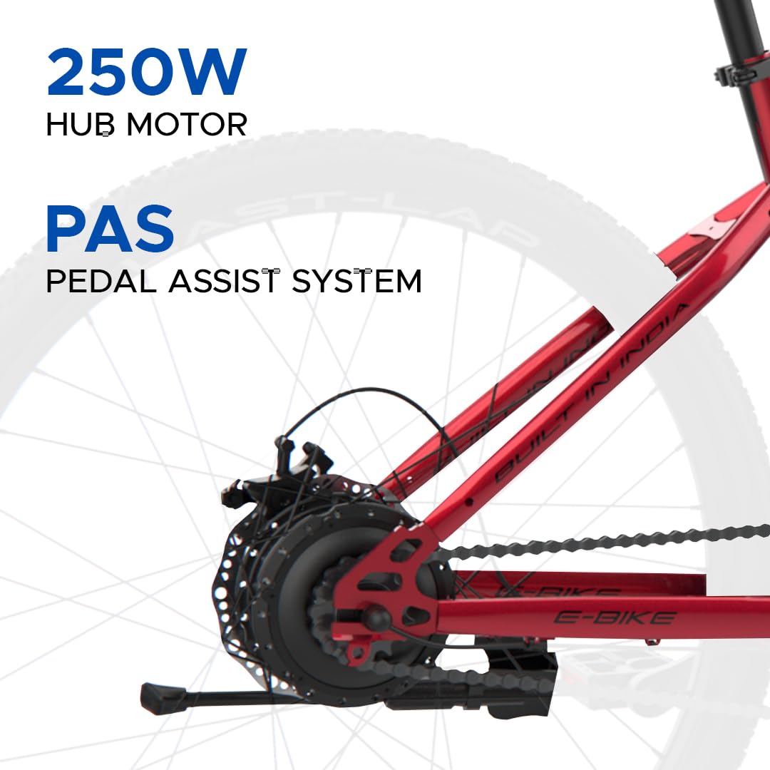 "EMotorad X1 equipped with 250W hub motor and 5-level PAS technology"

