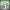 "Appgrow Jaguar 26T fatbike in black and green with 21-speed gears, dual disc brakes, and XTRA ACTION fat tyres – ideal for off-road adventures."

