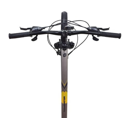FIREFOX Dominator 29 D 29 T Mountain Cycle (21 Gear, Grey) | Frame 17 Inch | 98% Assembled Cycle