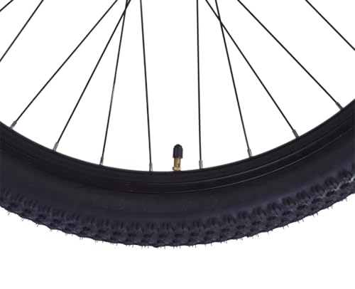 FIREFOX Dominator 29 D 29 T Mountain Cycle (21 Gear, Grey) | Frame 17 Inch | 98% Assembled Cycle