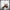 "Side profile of mini 49cc dirt bike with 2-stroke petrol engine"
