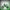"green and black 49cc kids dirt bike with heavy-duty knobby tyres – side perspective"

