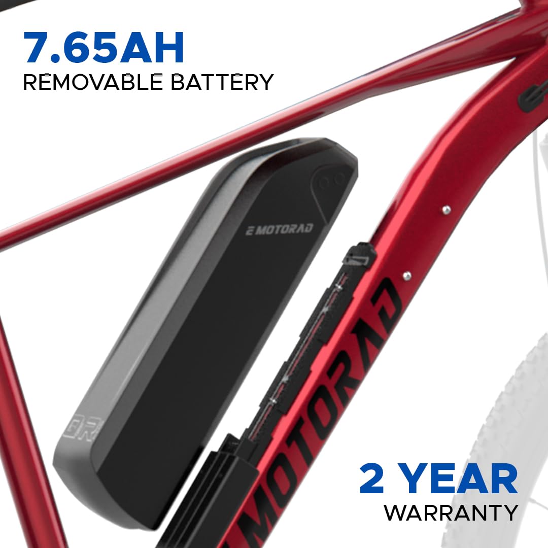 "Close-up of EMotorad X1’s 7.65Ah detachable battery for easy charging"

