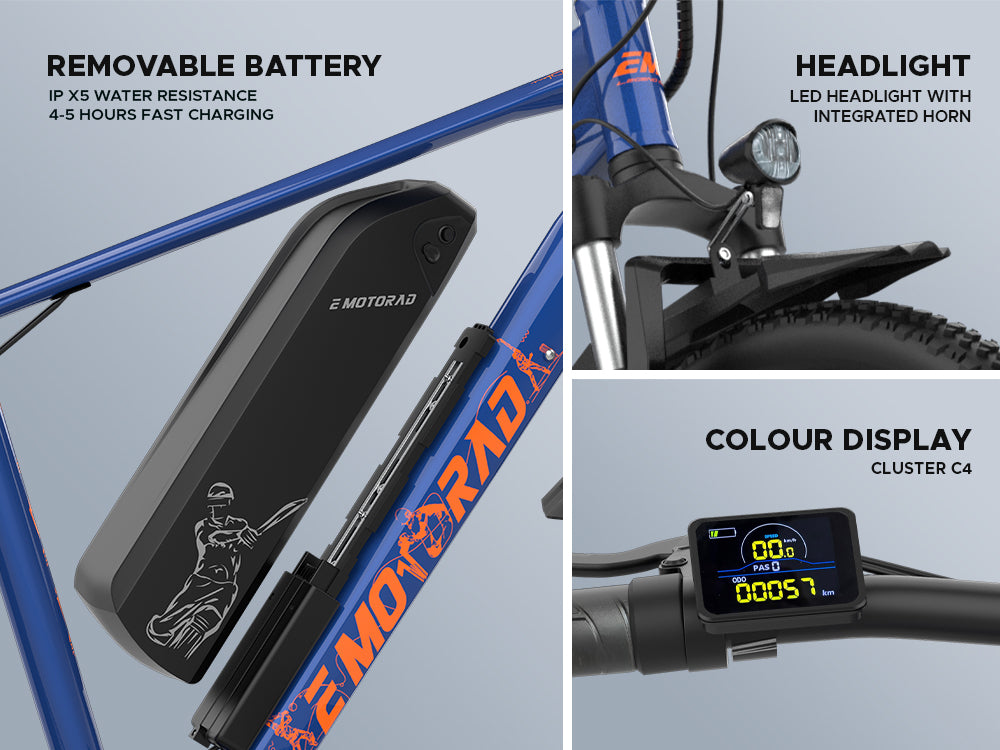 E-Motorad Legend 07 MSD Edition | 250W Electric Cycle | 7.65Ah Battery | LCD Display