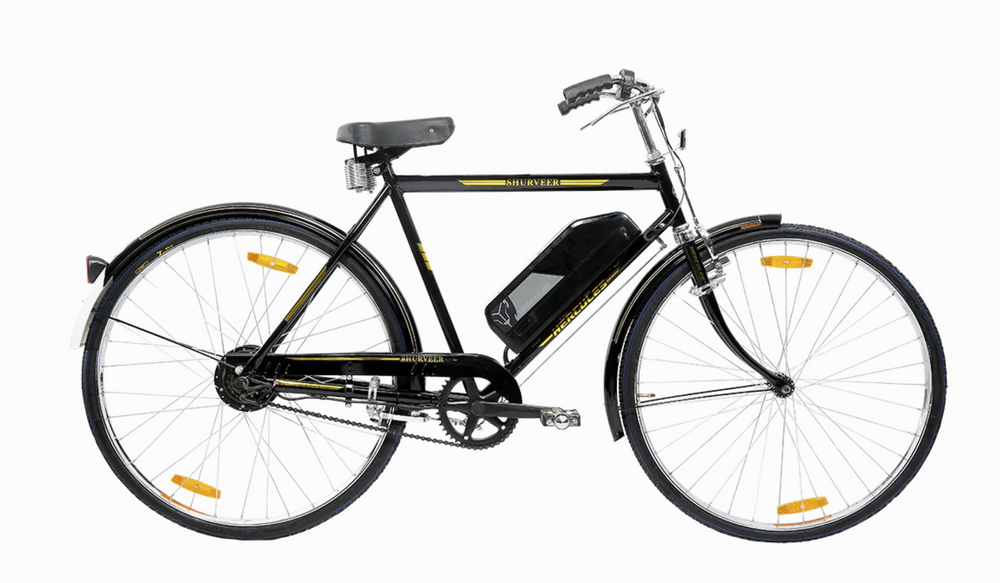 22" Desi Electric Cycle | 250W Hub Motor | 3 Battery Variants | Max Speed 25km/h