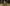 22" Desi Electric Cycle | 250W Hub Motor | 3 Battery Variants | Max Speed 25km/h