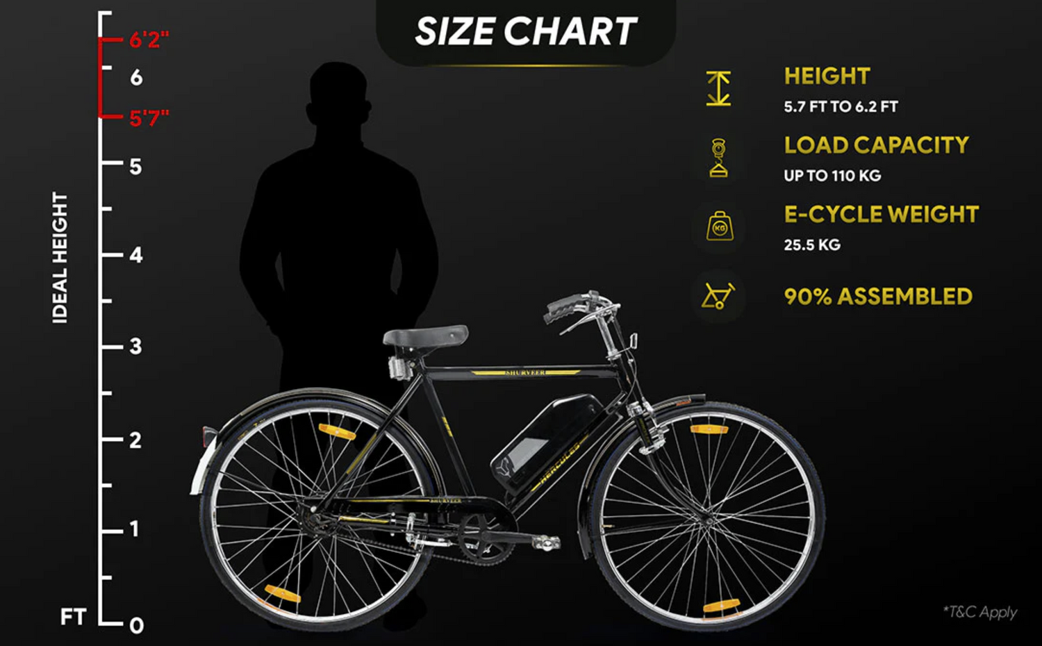 22" Desi Electric Cycle | 250W Hub Motor | 3 Battery Variants | Max Speed 25km/h