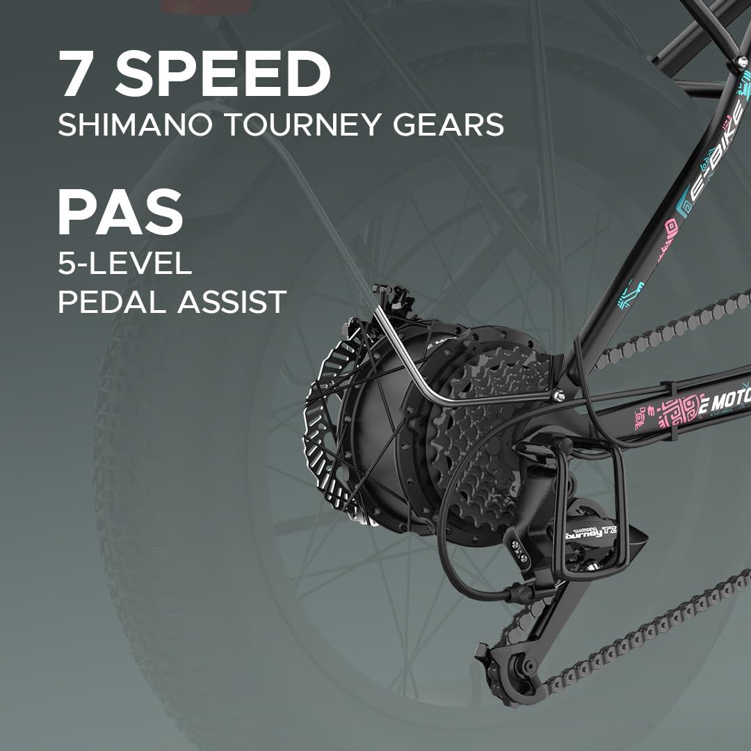 Close-up of E Motorad Doodle Pro electric cycle's Shimano Tourney 7-speed gear system and rear hub motor with 5-level pedal assist (PAS)

