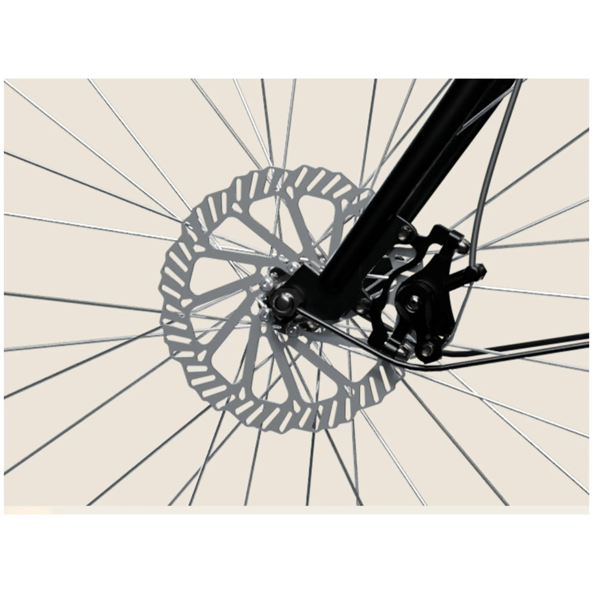 EMotorad Heritage Desi electric cycle mechanical disc brake and rotor