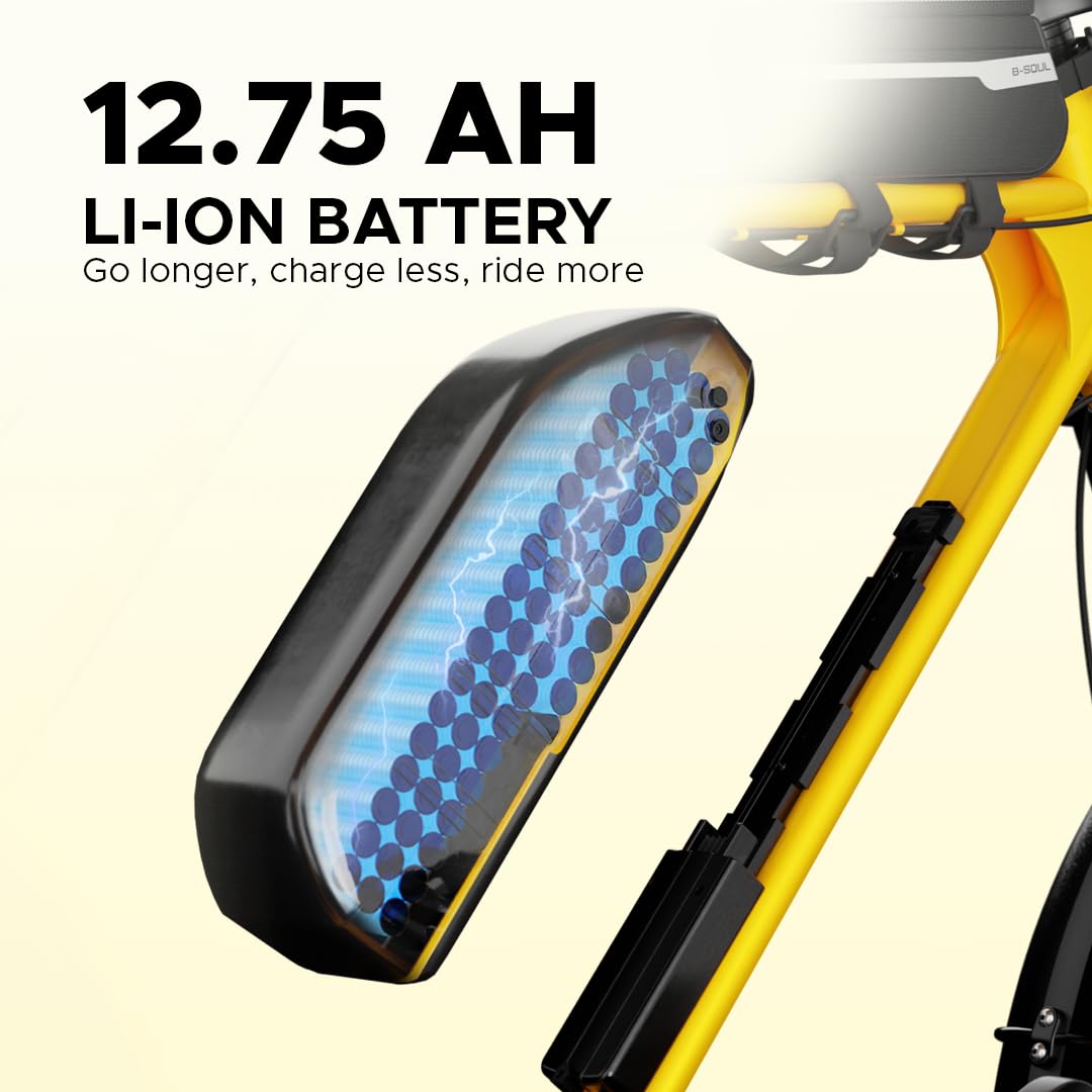 Removable 12.75Ah lithium-ion battery on Emotorad Ranger electric cycle