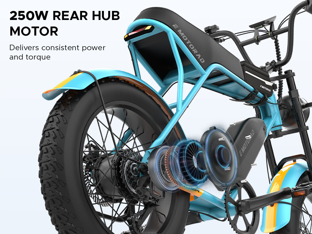EMotorad Ranger 250W rear hub motor electric bike performance