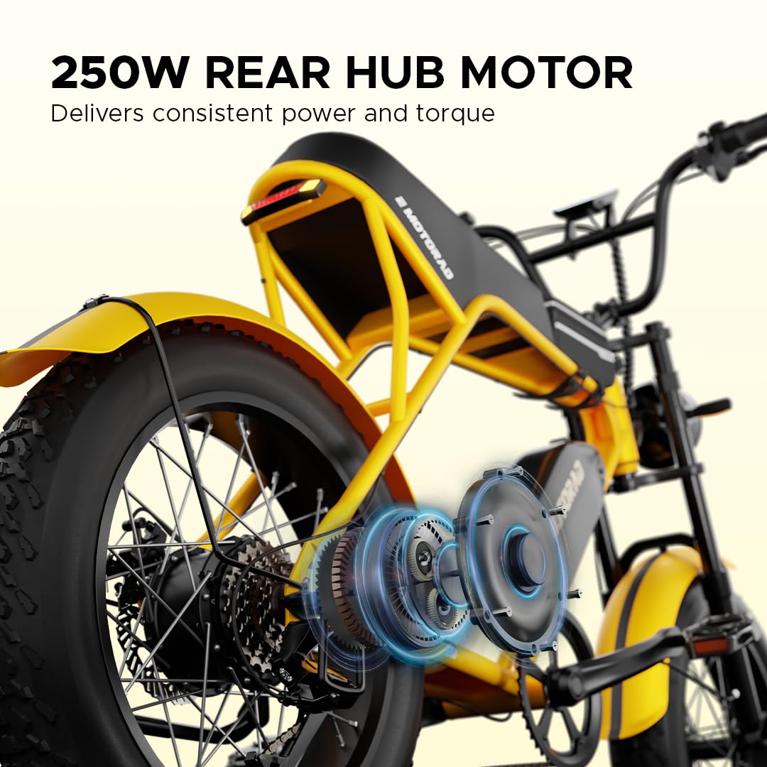 250W rear hub motor delivering smooth power on Emotorad Ranger e-bike