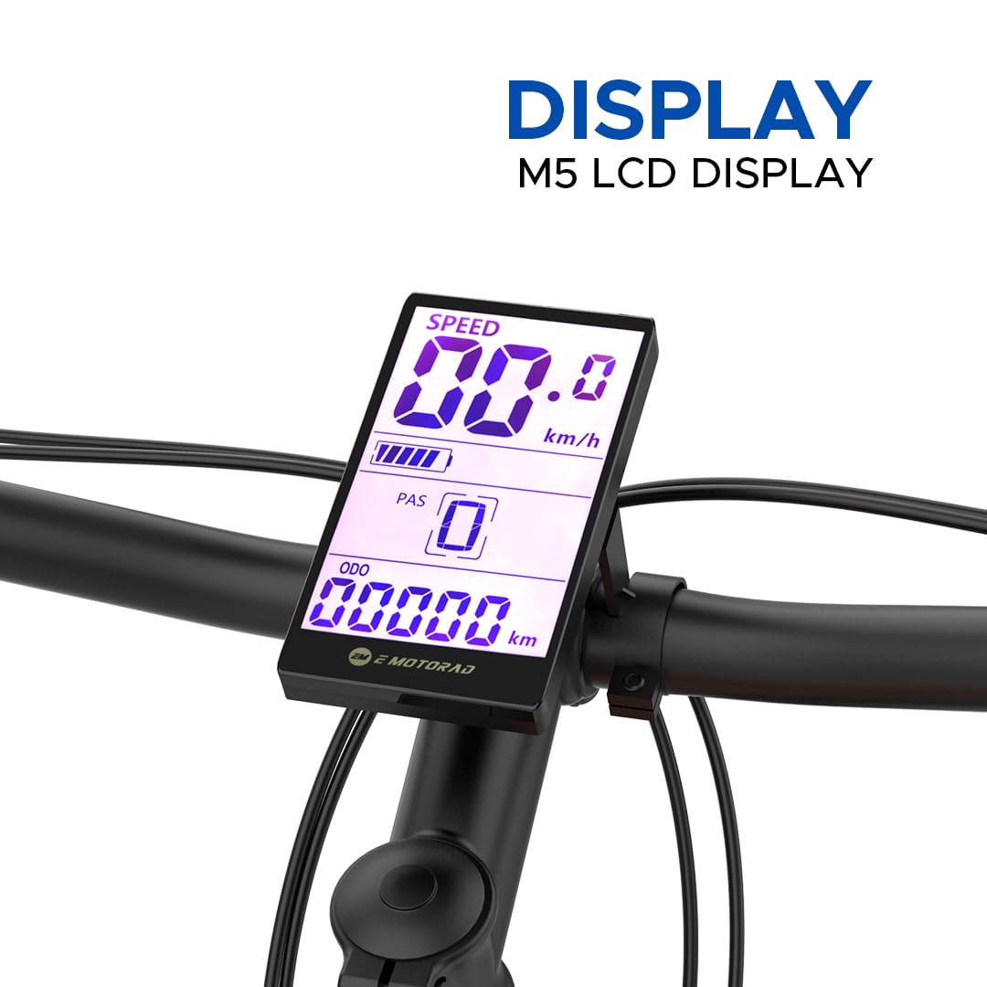 M5 LCD display showing speed and battery on EMotorad T-Rex Air electric cycle