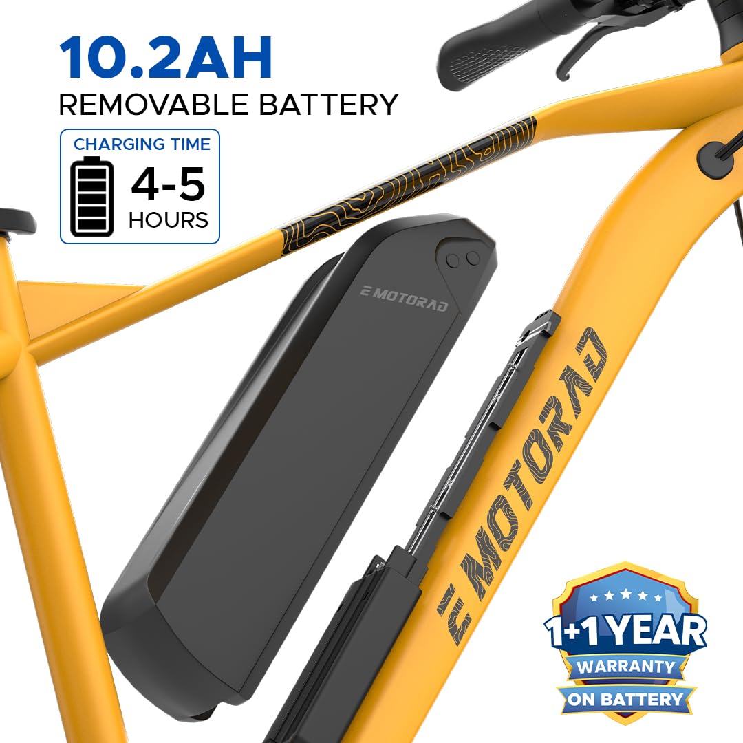 EMotorad T Rex Air 10.2Ah lithium battery removable electric cycle