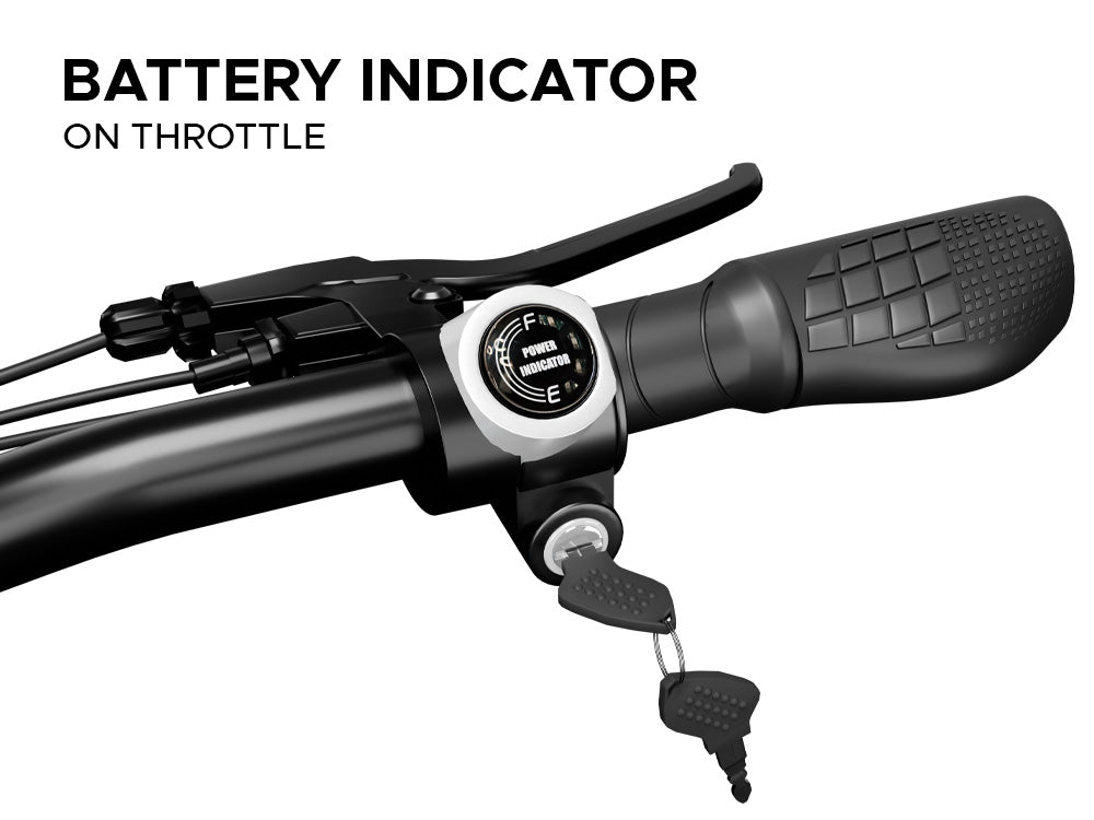 EMotorad X1 battery indicator throttle display electric cycle