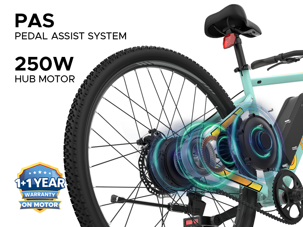 EMotorad X1 green 250W motor pedal assist system