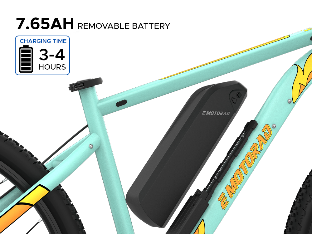 EMotorad X1 green removable lithium battery electric cycle