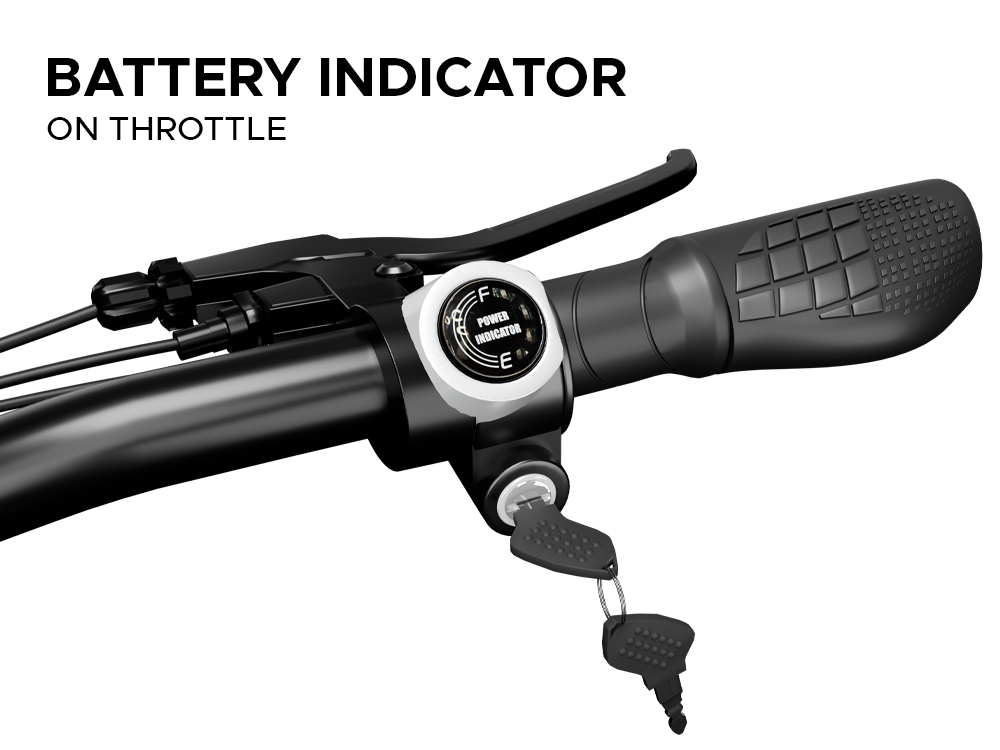 EMotorad X1 green battery indicator throttle display