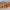 Firefox Drift Plus 700C Hybrid Bicycle Urban Fitness Riding