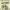 Kross Hitter 29T black single speed MTB cycle