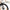 Kross K 2.0 24T army green bicycle with rigid steel fork and pressed ends