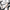 Kross K 2.0 24T steel frame detail with 38.1 cm frame