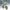 Kross Oddy 20T green kids cycle with training wheels side view